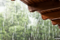 Beat the Rain: Spring Home Protection Tips