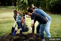 Home Orchard Handbook: Grow Delicious Fruit in Your Backyard