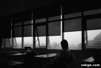 Roller Shades Explained
