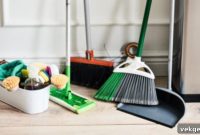 The Tools Pros Use for a Sparkling Apartment