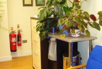 Reimagine Your Home with Plant Power