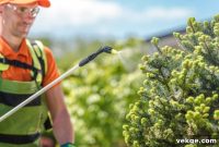 Professional Pest Control: Ensuring a Vibrant Landscape