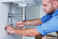 Decoding Home Plumbing Finances