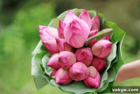 8 Floral Hacks to Instantly Brighten Your Home