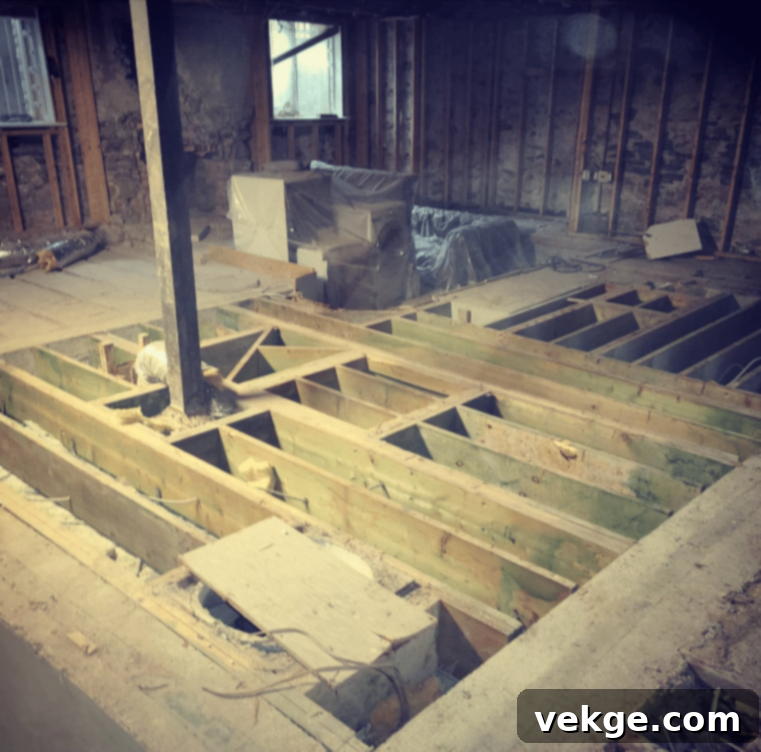 featured 104247
