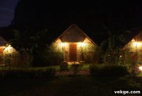 Pro Secrets For Landscape Lighting Installation
