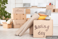 Your Essential Toolkit for a Stress-Free Move