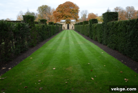 The Joys of Gardening Nurturing More Than Plants