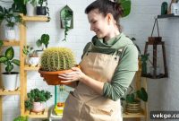Beginner’s Guide to Indoor Cactus Care