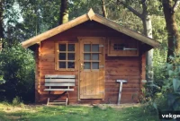 Elevate Your Shed Build 5 Pro Tips