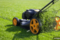 Mower Maintenance for Peak Performance