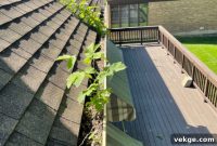 Effortless Gutter Care for a Dry Home
