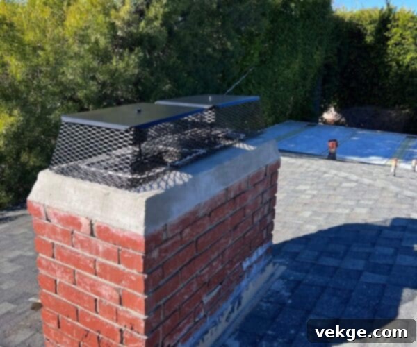 featured 106439