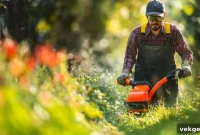 Weed Eater vs. Weed Trimmer The Key Differences
