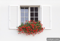 Window Box Wonders for Compact Living
