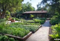 The Edible Aesthetic Designing Gardens That Nourish and Delight