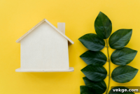 Green Real Estate Your Guide to Sustainable Living