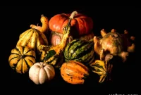 Autumn’s Bounty: Essential Gourds for Cooking and Health