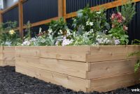 Small Space Big Harvests The Raised Bed Advantage