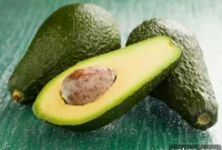 Your First Avocado Plant: A Beginner’s Simple Steps