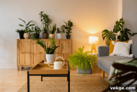 Green Home Hacks Easy Eco Swaps