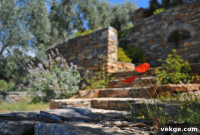 Reimagine Your Outdoors Essential Garden & Landscape Trends