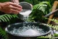 Cultivating Vibrant Ferns with Epsom Salt