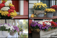 20 Mum-tastic Porch Ideas for an Inviting Autumn