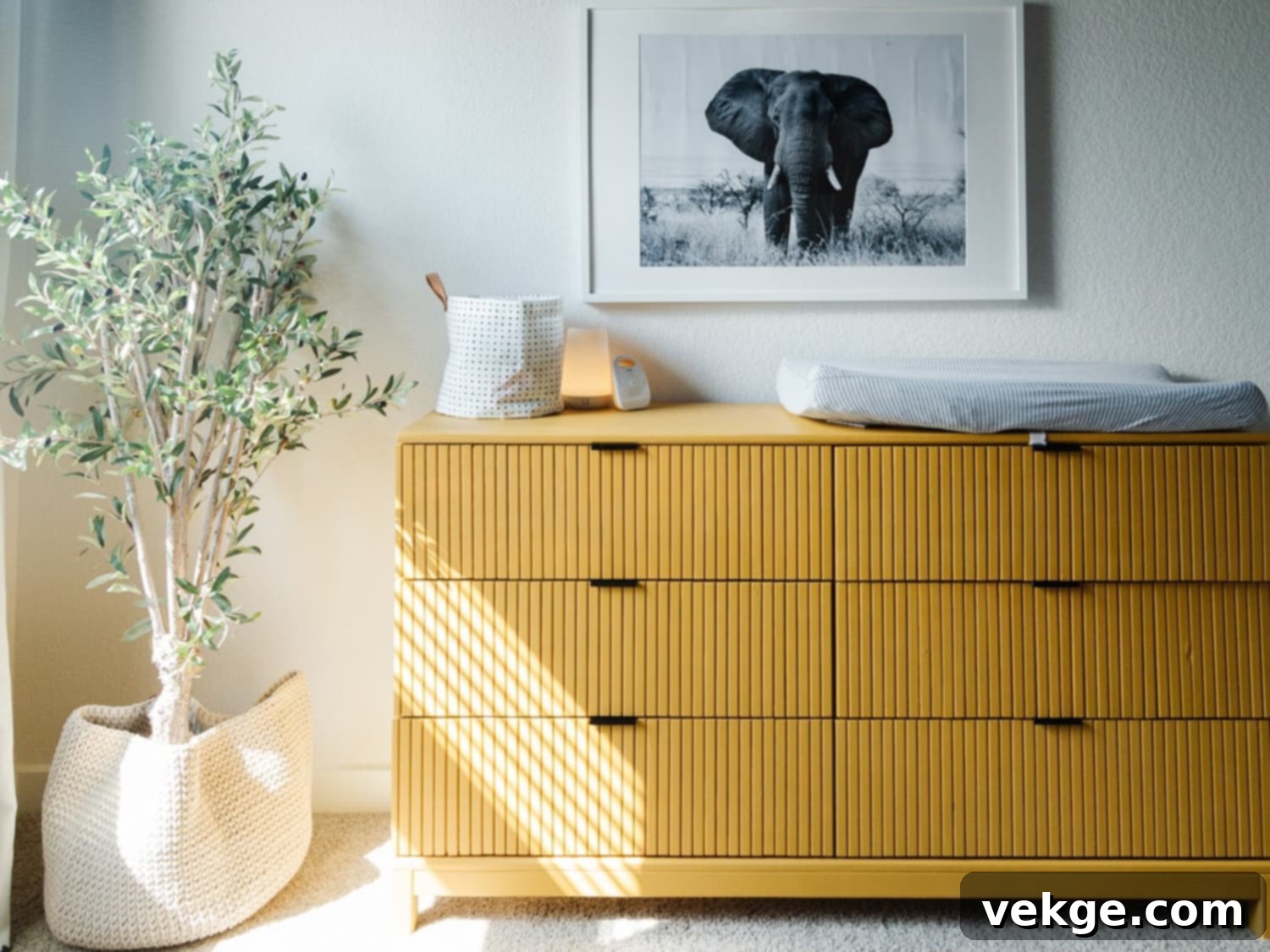 featured 115346