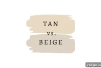 The Definitive Guide to Tan and Beige Shades