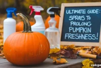 Maintain Fresh Pumpkins Effortlessly