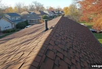 Illinois’ Top-Rated Roof Repair Companies