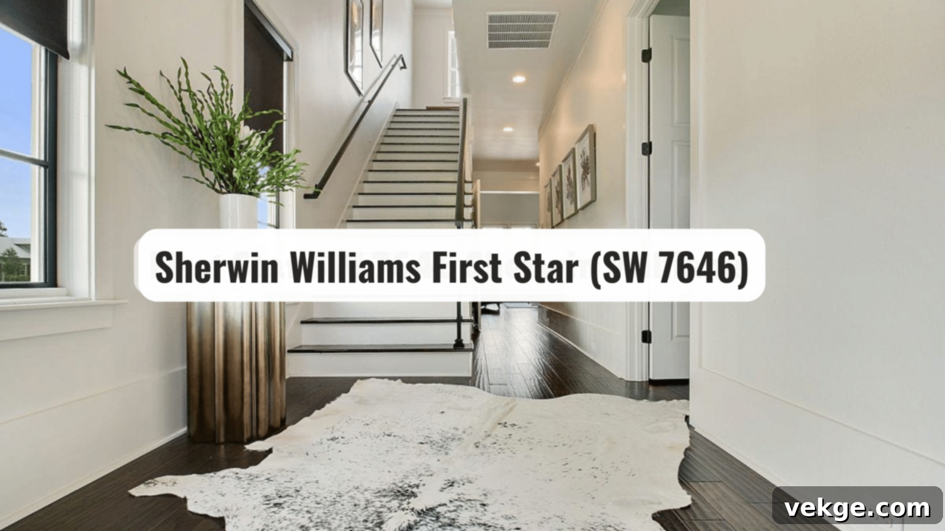 featured 119927