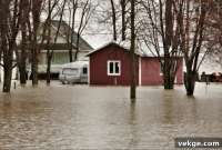 Mastering Water Damage Insurance Claims
