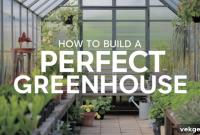 Crafting Your Perfect Greenhouse From Design to Reality