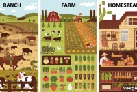 Ranch, Farm, Homestead: What Sets Them Apart?