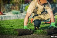 Grow Your Equity: Landscaping Projects That Increase Home Value