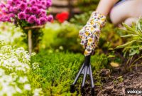 Spring Gardening Blunders That Annoy Your Landlord