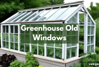 Upcycled Windows, Thriving Greenhouse: Your DIY Guide