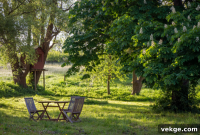Home Refresh: Easy Upgrades for a Fresh Summer