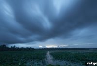 Monsoon-Proof Your Home: Essential Prevention Strategies