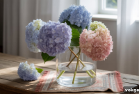 Mastering Hydrangea Drying A Comprehensive Guide