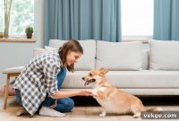Stylish and Dog-Proof Living Room Ideas