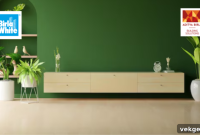 Innovative Interior Painting: Your Ultimate Guide from Classic Distemper to Modern Marvels