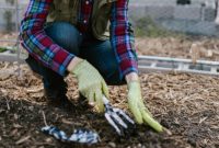 Western Slope Wisdom: 2025 Landscape and Soil Strategies for Colorado
