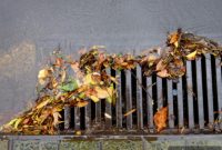 Unblocking Storm Drains: Your Comprehensive Guide