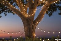 Transform Your Yard: String Lights for a Cozy Outdoor Escape