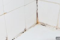 The Safe Way to Banish Tile Grout Mold