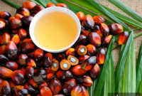 Batana & Rosemary: Your Secret to Fuller, More Vibrant Hair