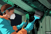 Crawl Space Mold: Your Definitive Guide to Removal and Prevention